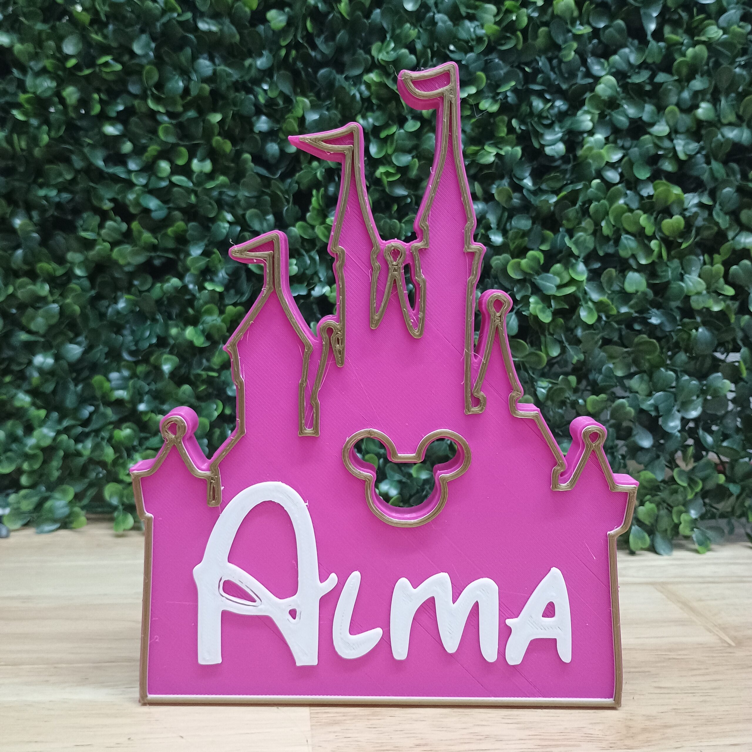 castillo-disney castillo-disney