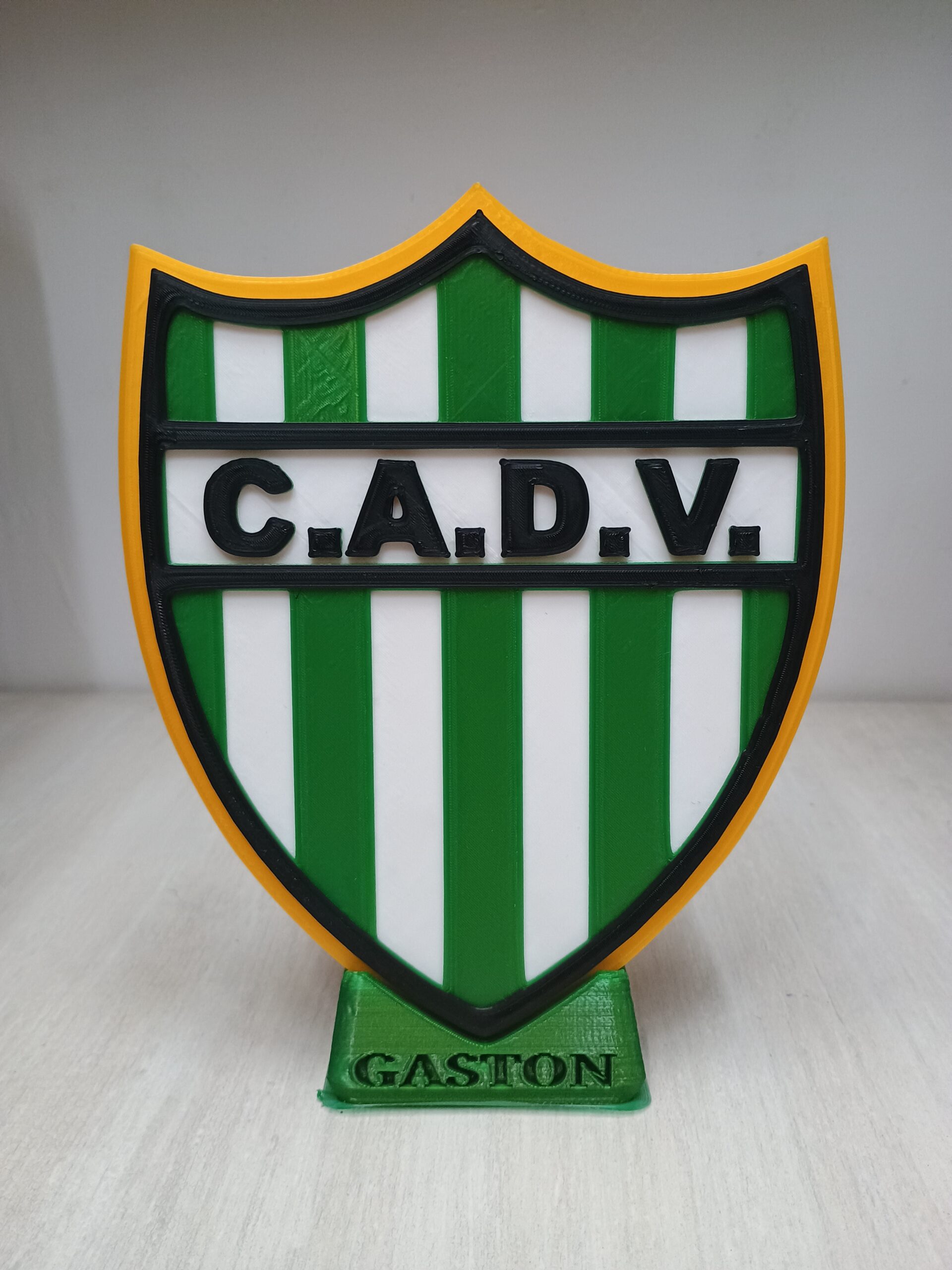 IMG_20241230_135751286 escudo defensores vilelas